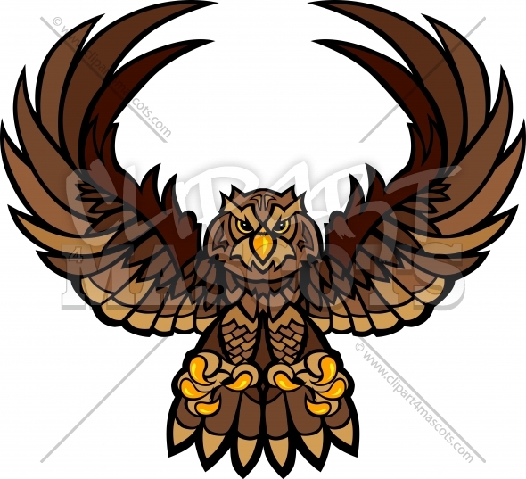 590x537 Owl Mascot Graphic Vector Logo