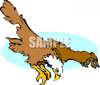 350x296 Picture Of A Hawk Flying Ready To Dive Into His Prety In A Vector