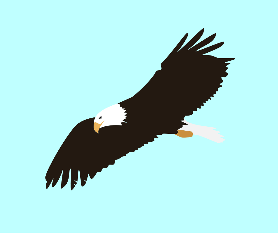 900x756 Bald Eagle Clip Art