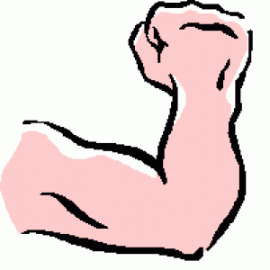300x300 Muscle Man Clip Art Arm The Healing Center Seattle