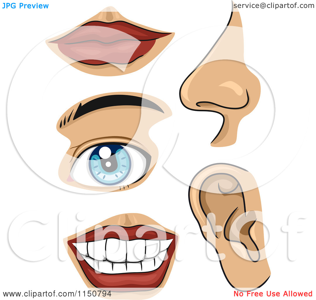 1080x1024 Body Clipart Human Part