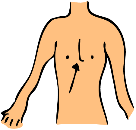 451x431 Top 81 Body Clip Art