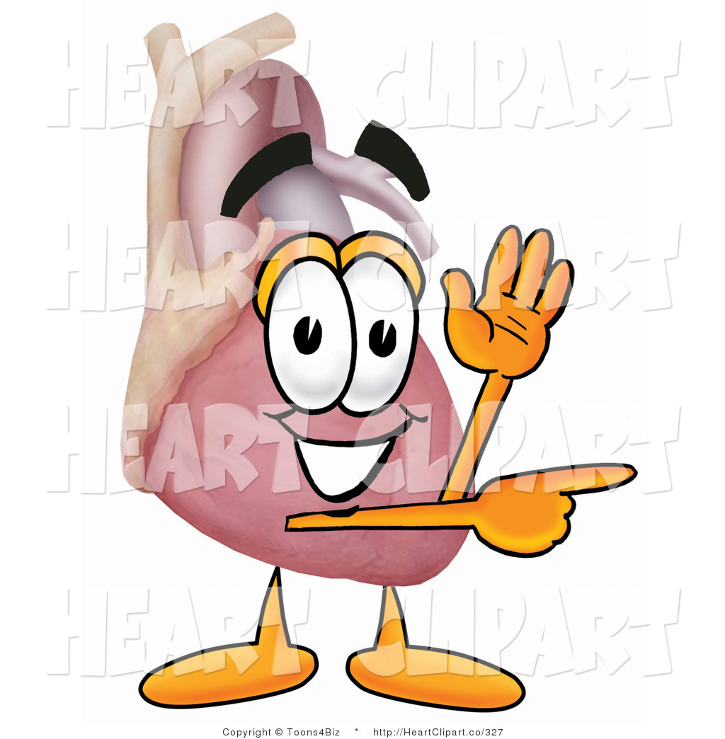 1024x1044 Human Heart Clip Art Clipart Panda