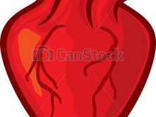 220x165 Human Heart Clipart Human Heart Clipart Image Anatomy