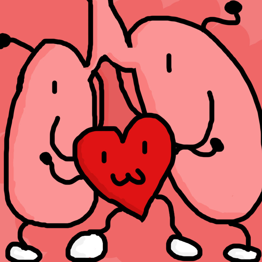 900x900 Heart And Lung Clipart