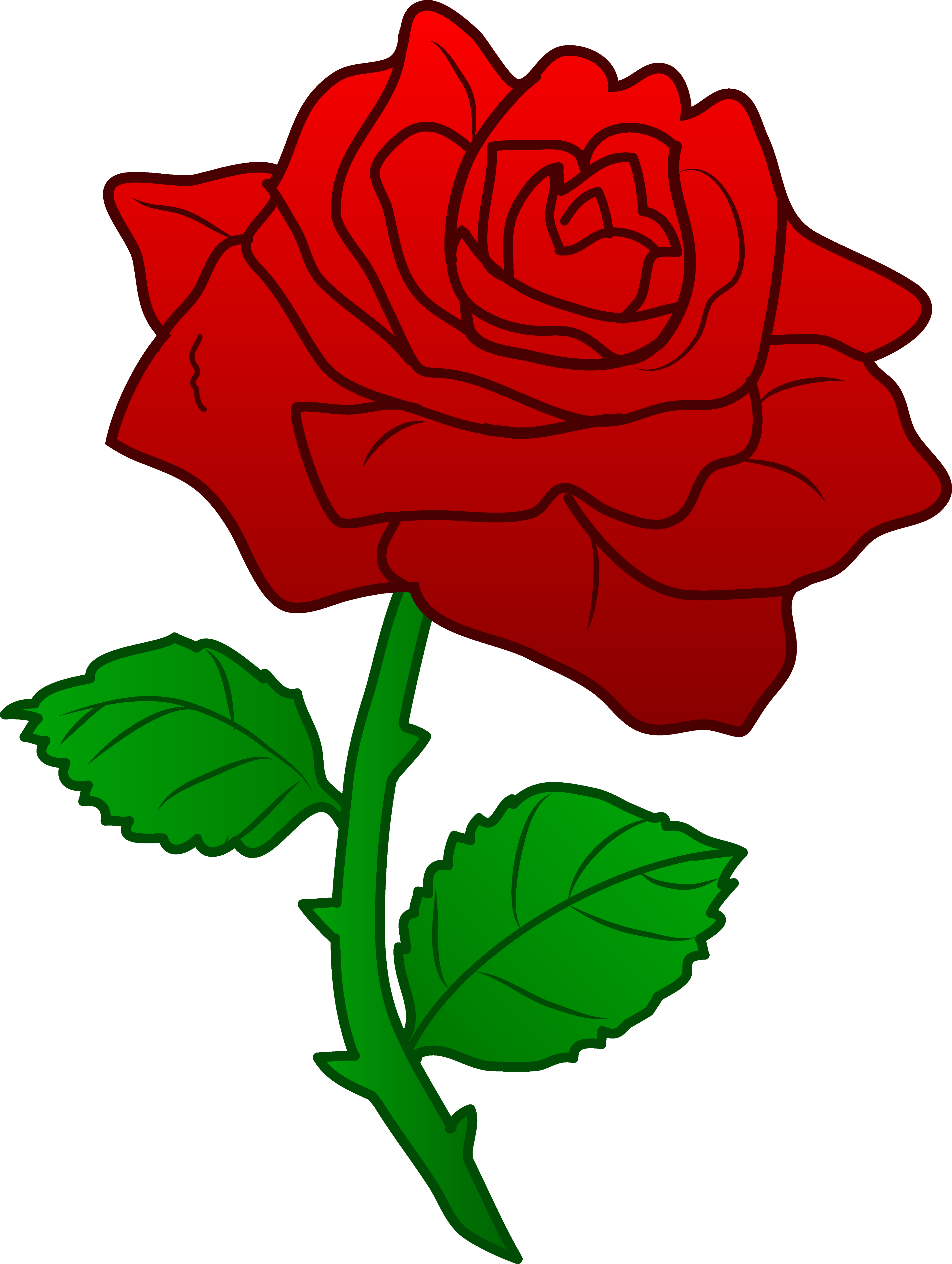 4257x5650 Clip Art Clip Art Of Roses