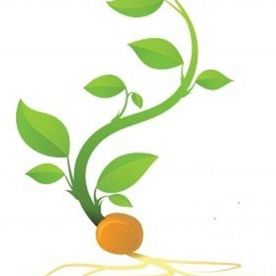 400x400 Heather Cooney (@msmustardseed) Twitter