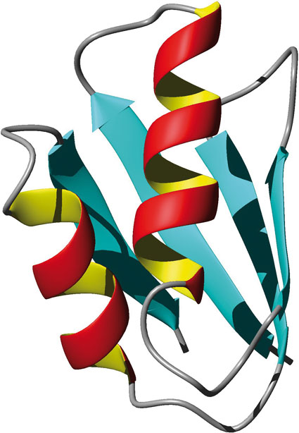 425x614 Seeing Proteins Inside Living Cells Laboratory Journal