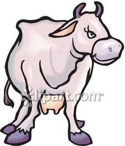 257x300 Light Purple Heifer