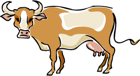 288x156 Pair Clipart Bulls
