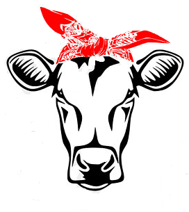 272x305 Pin By Paige Littlefield On Cricut Cricut