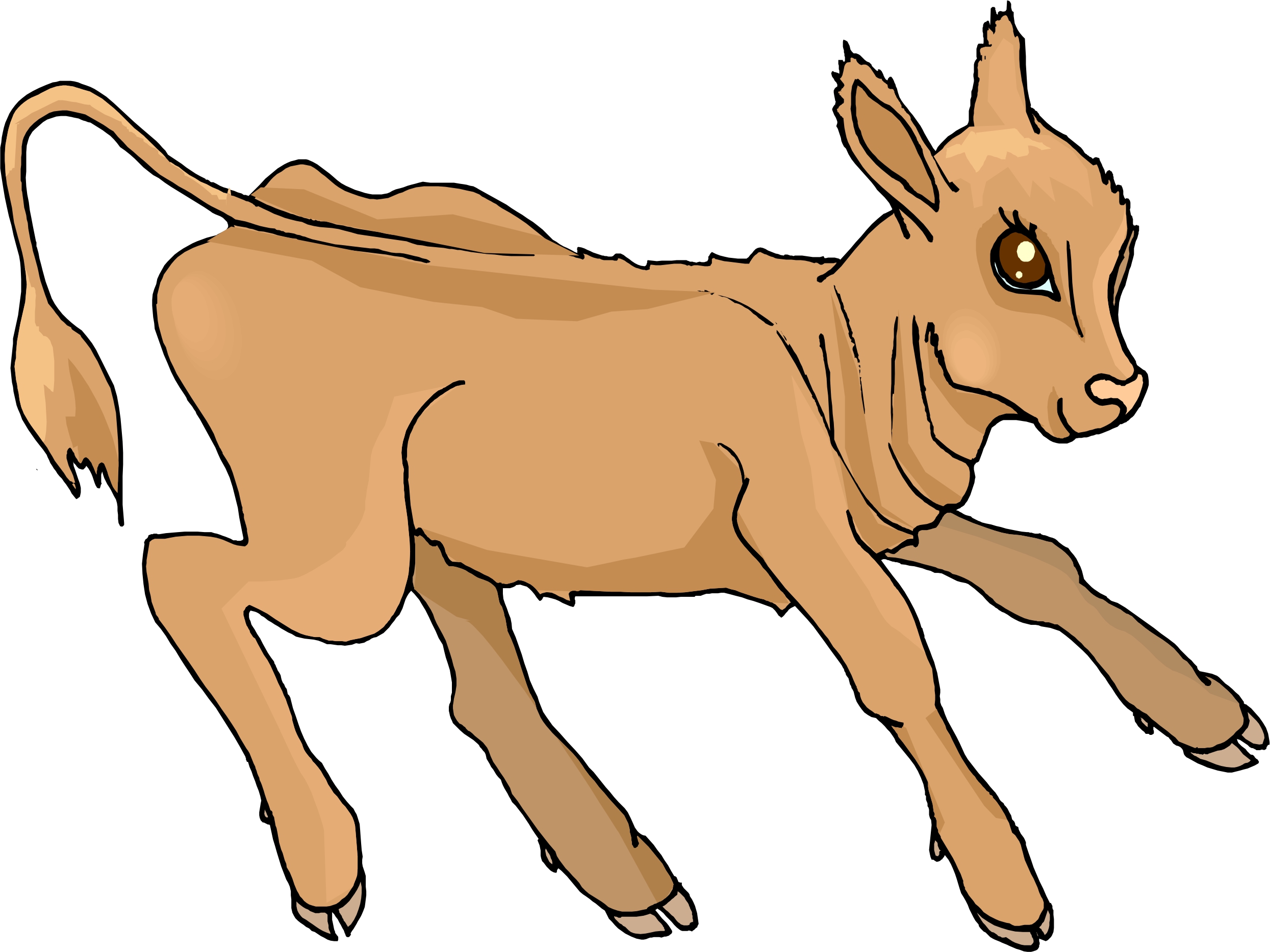 2490x1868 Caff Clipart