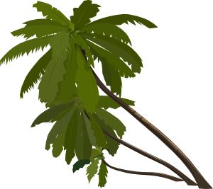 300x267 Hemp Palm Clipart