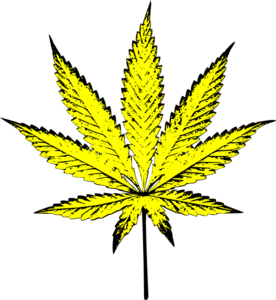 276x300 Weed Clip Art