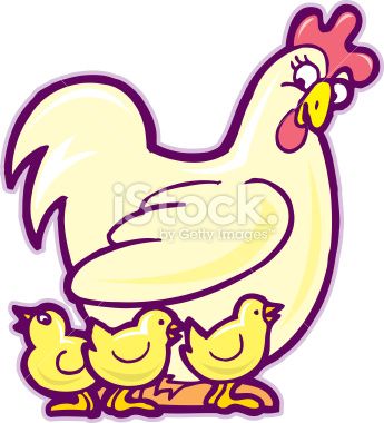 345x380 Chicken. Cartoon Illustration Of A Farm Hen And Chicks Cartoon