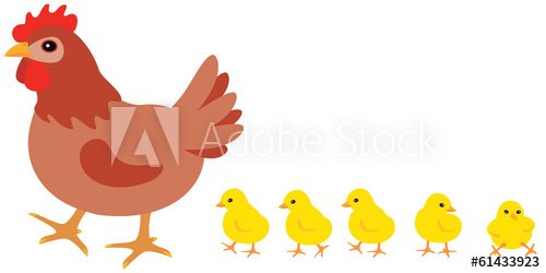 500x250 Hen And Chicks