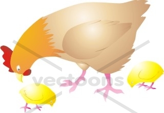 320x221 Mother Hen Eating With Chicks