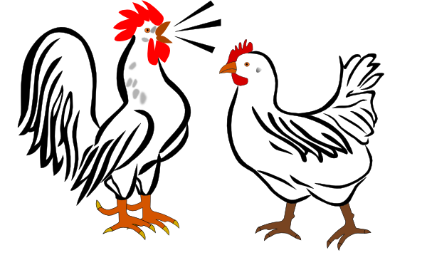 600x386 Drawings Of Roosters
