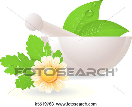 450x365 Herbs Clipart Clip Art