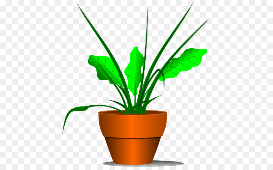 900x560 Houseplant Clip Art