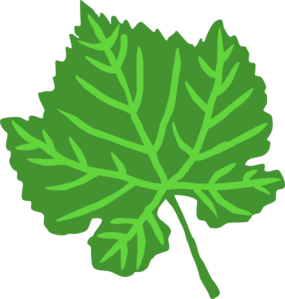 285x299 Leaf Clip Art