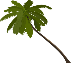 300x267 Palm Tree Art Tropical Palm Trees Clip Clip Art