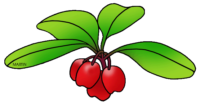 648x335 United States Clip Art By Phillip Martin, State Herb Of Maine