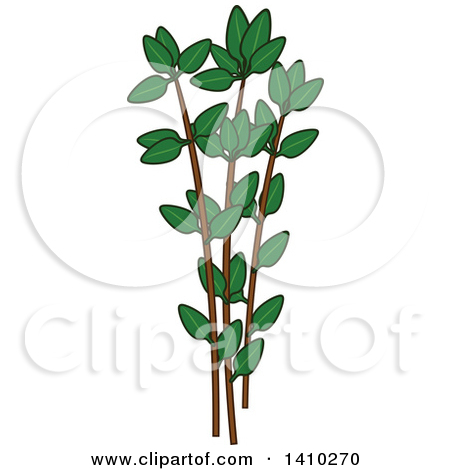 450x470 Culinary Herbs Clipart