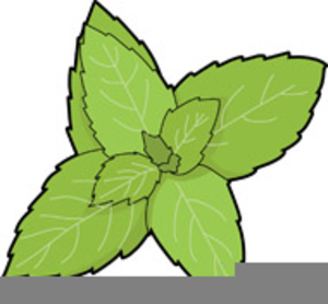 300x278 Free Clipart Spices Herbs Free Images