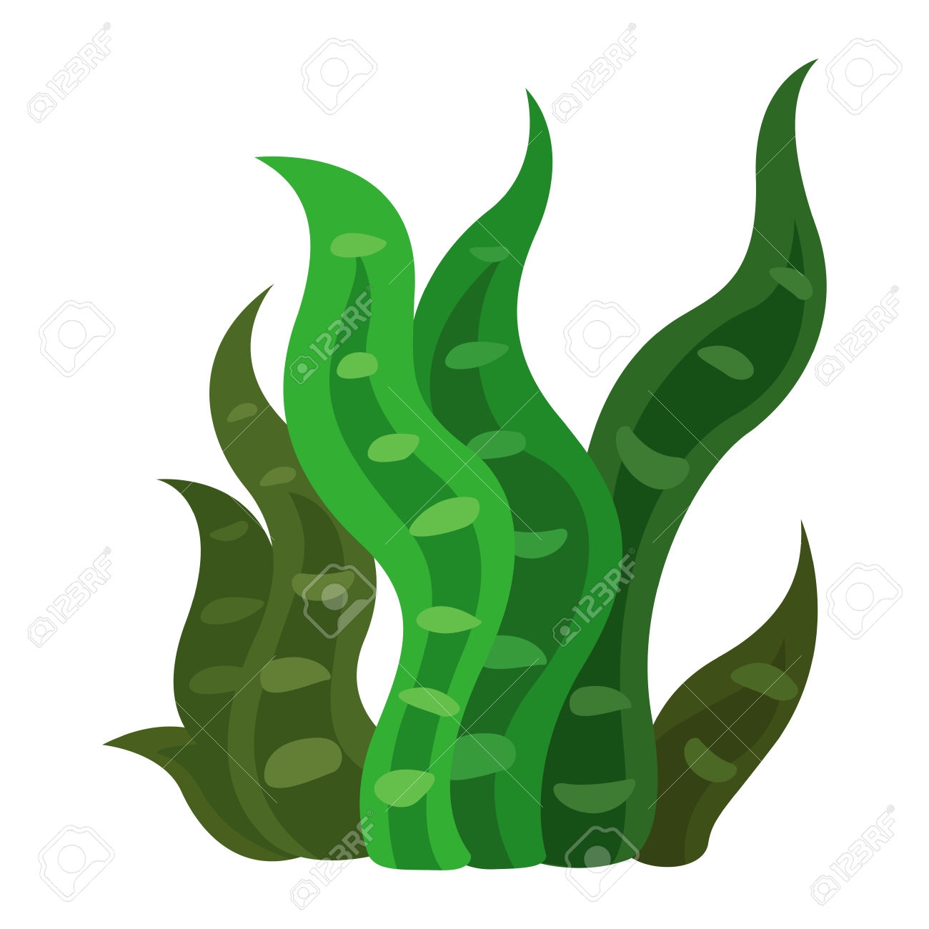1300x1300 Unique Seaweed Clipart Gallery