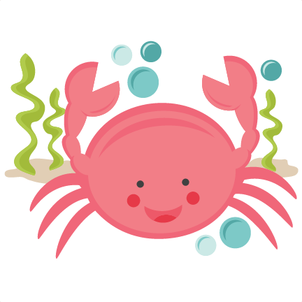 432x432 Cute Hermit Crab Clipart Free Images