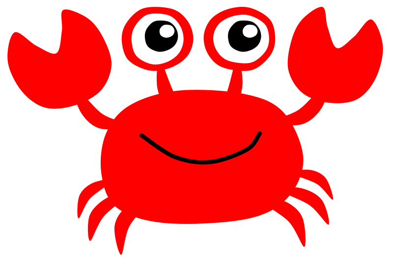 800x541 Hermit Crab Clipart Baby Crab