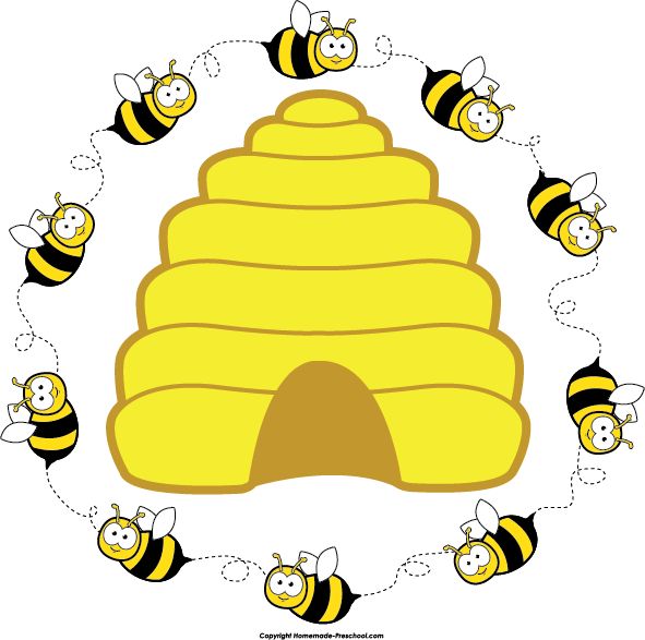 591x587 Bee Clipart Hexagon