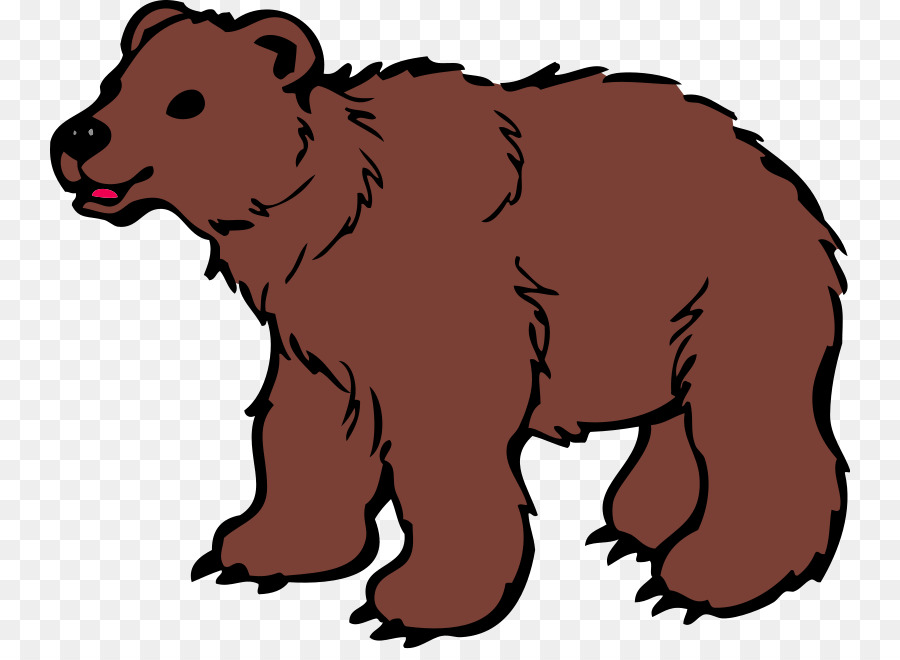 900x660 American Black Bear Polar Bear Brown Bear Giant Panda