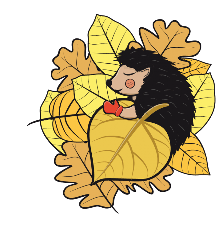 744x800 European Hedgehog Hibernation Clip Art