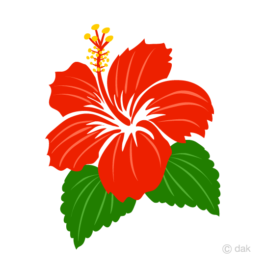 540x540 Free Hibiscus Clip Art On The South Island Cartoon