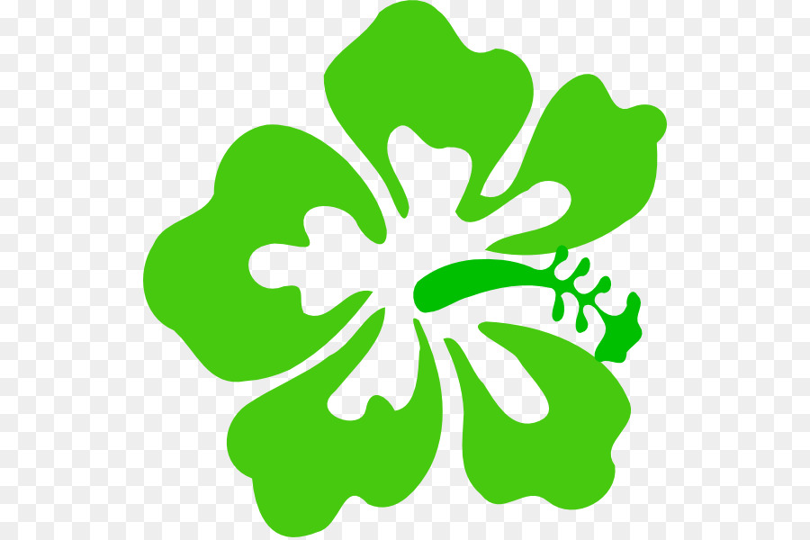 900x600 Hawaiian Hibiscus Clip Art