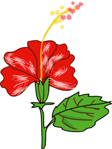 225x299 Flower Hibiscus Clip Art Free Vector 4vector