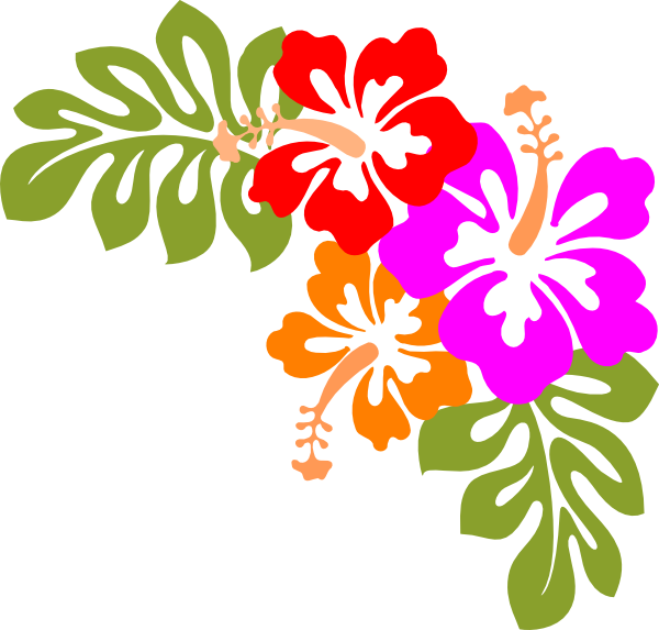 600x573 Hibiscus Flower Clipart