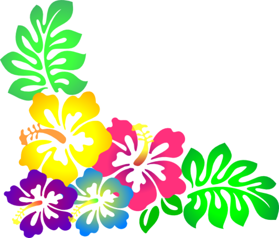 570x486 Hawaiian Flower Border Clipart