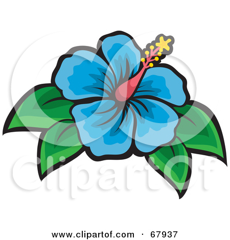 450x470 Blue Hibiscus Clipart
