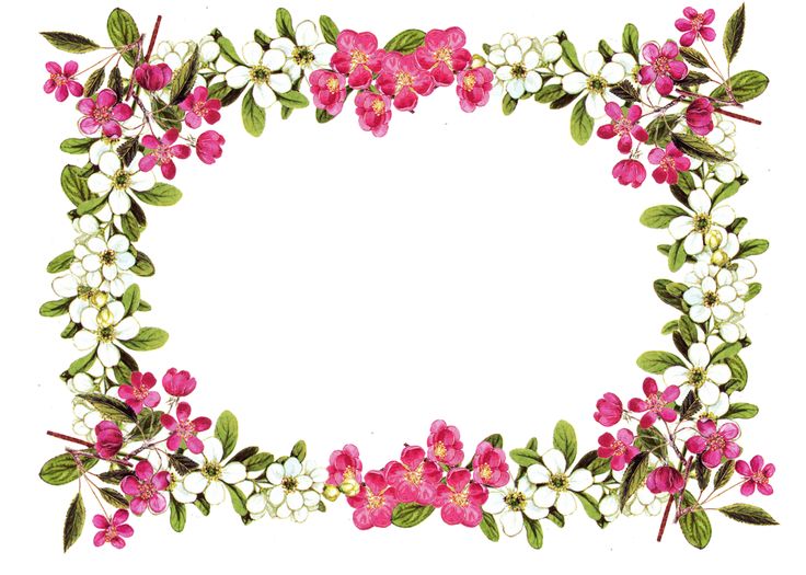 736x525 Flower Border Clip Art Amp Look At Flower Border Clip Art Clip Art