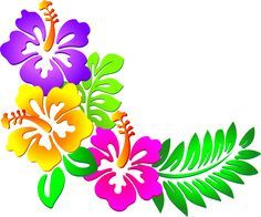 236x196 Hawaiian Clip Art Borders Hibiscus Corner Clip Art Tropical