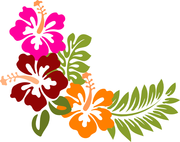 600x473 Hibiscus Clipart Clipartlook