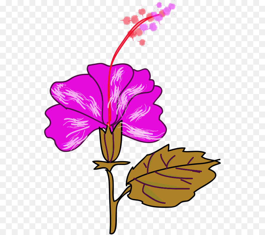 900x800 Flower Hawaiian Hibiscus Shoeblackplant Clip Art