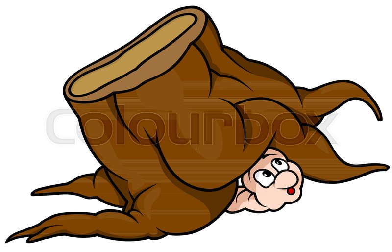 800x514 Hidden Little Earthworm Under A Tree Stump