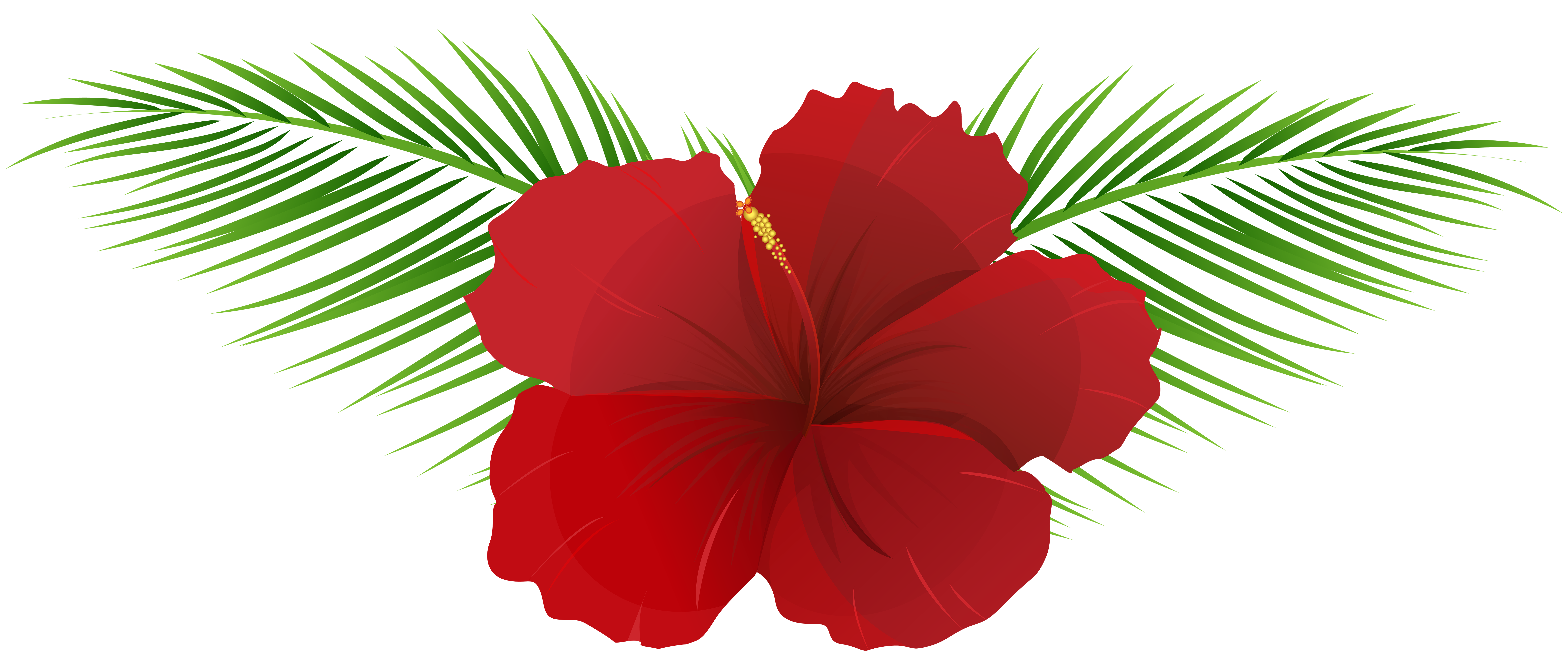 8000x3360 Exotic Flower Transparent Clip Art Imageu200b Gallery Yopriceville