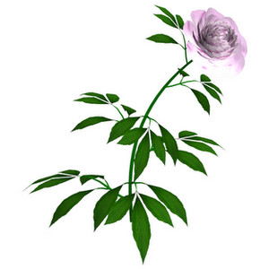 300x300 High Resolution Clipart Collection