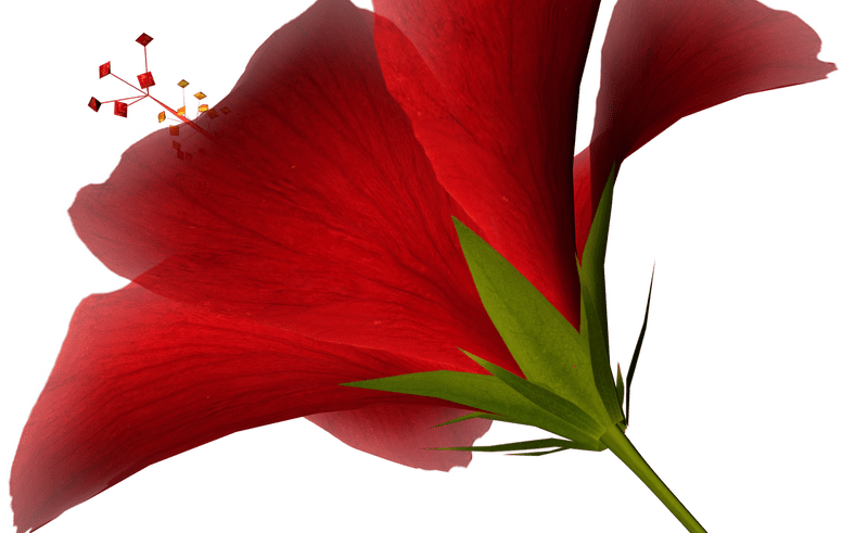 800x491 Interesting Ideas Free Clip Art High Resolution Photos Clipart 43