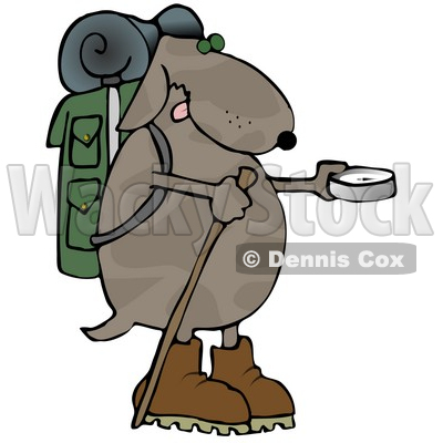 400x400 Dog Using A Compass While Hiking Clipart Illustration Djart
